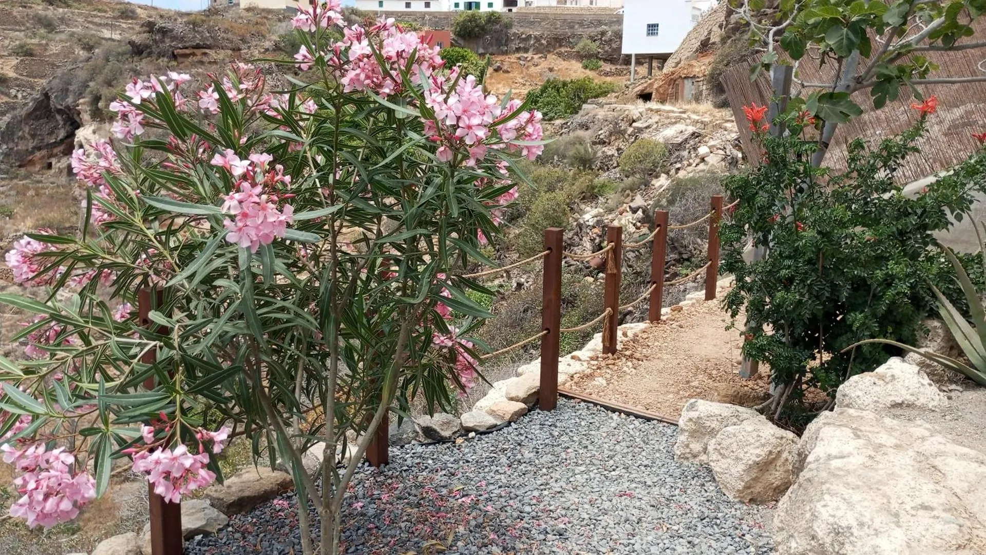 Affittacamere Eco-Finca Azuay - Cave Refuge Santa Cruz de Tenerife
